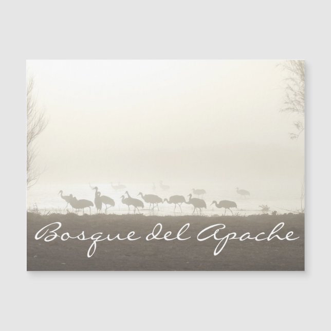 Grues dans la brume Bosque del Apache (Devant)