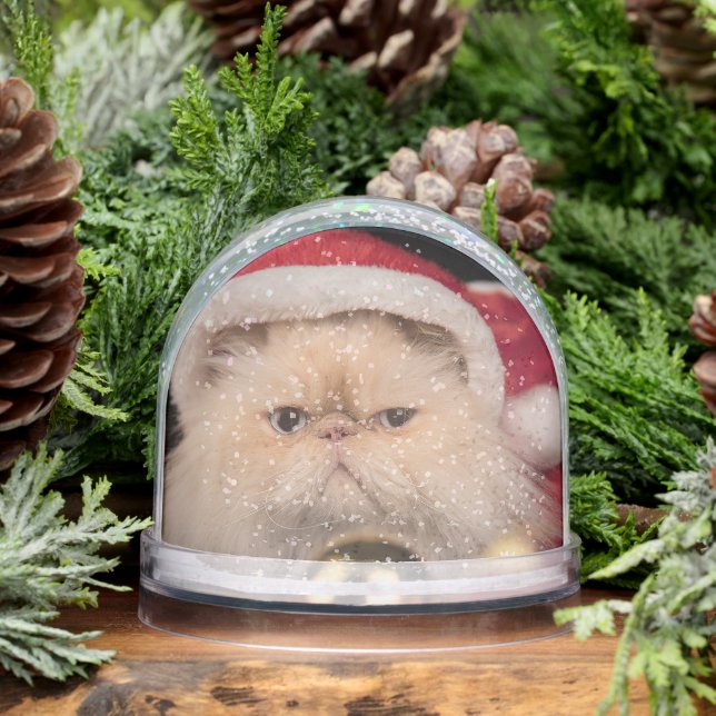 Grumpy Cat Santa Merry Christmas (Hiver)