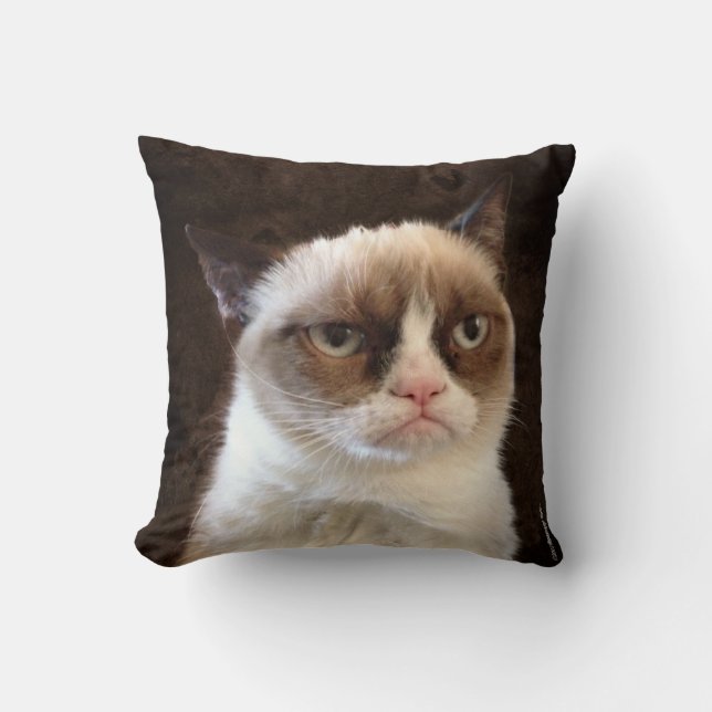 Grumpy Chat Coussin Brown (Recto)