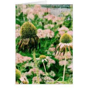 Grunge de Conflowers