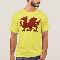Grunge de dragon de Gallois - T-shirt d'Eco des