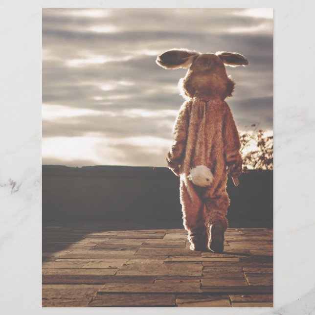 grunge de lapin (Devant)