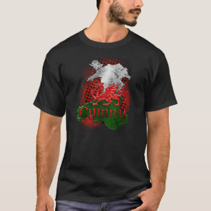 Grunge de T-shirt de Gallois avec le dragon et la