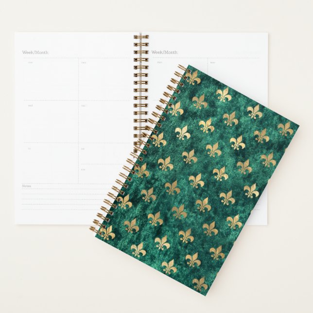 Grunge Velvet Vert Fleur De Lis Mardi Gras (Devant avec enveloppe)