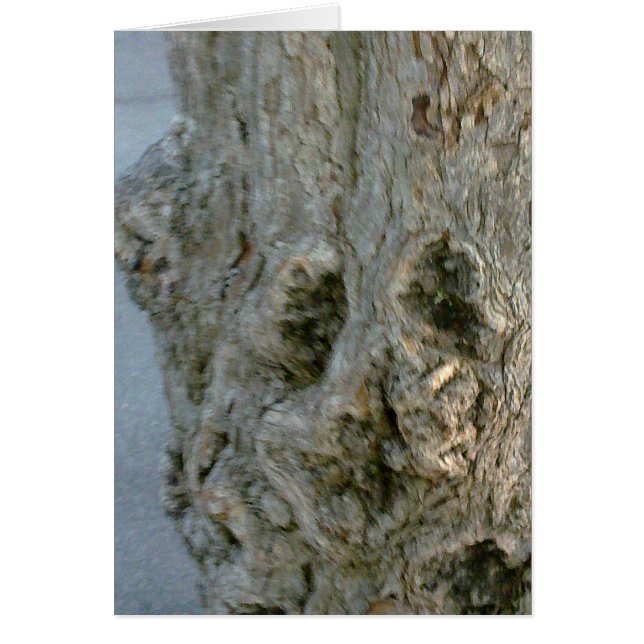 Grusskarte Baumgesicht, blanko, gestaltbar (Devant)