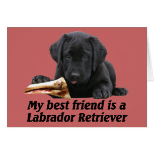 Grußkarte "labrador retriever "