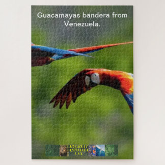 Guacamayas bandera du puzzle vénézuélien.