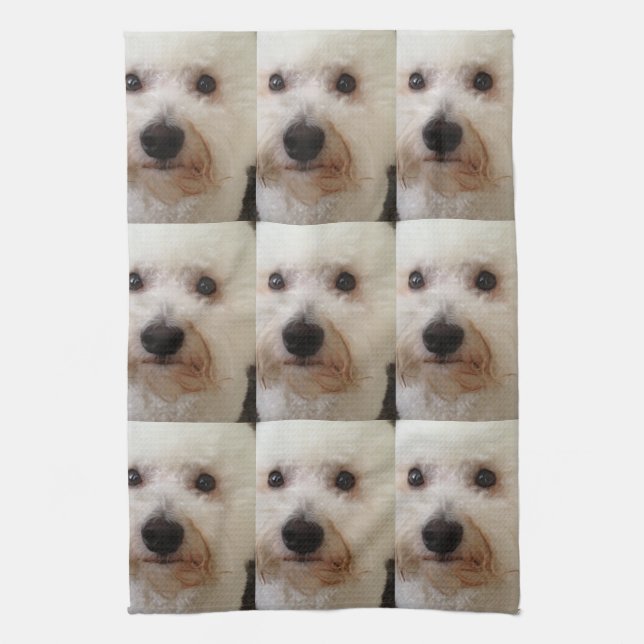 "Gucci" un Bichon Frise - serviette de cuisine (Vertical)