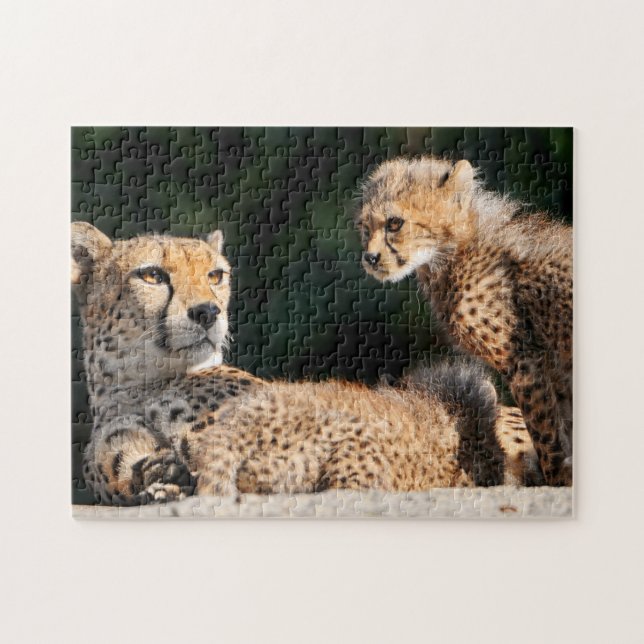 Guépard et puzzle de CUB (Horizontal)