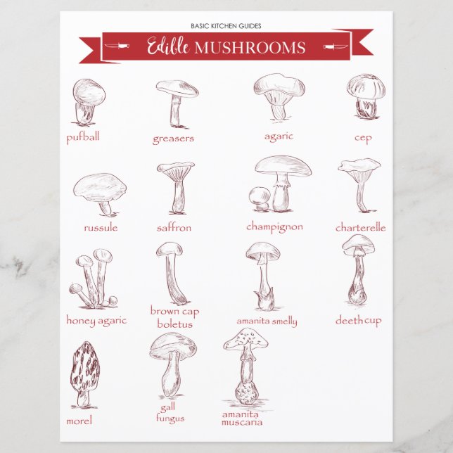 Guide cuisine : Champignons comestibles (Devant)