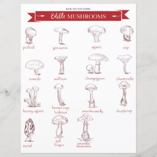 Guide cuisine : Champignons comestibles