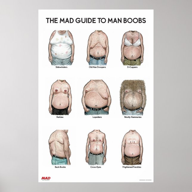 Guide MAD pour l'homme B**bs Poster (Devant)