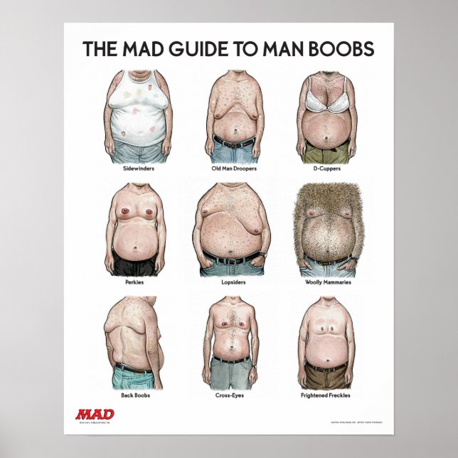 Guide MAD pour l'homme B**bs Poster (Devant)