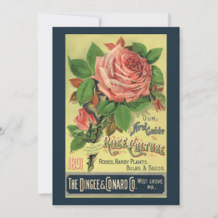 Guide vintage de la culture Rose Couverture du liv