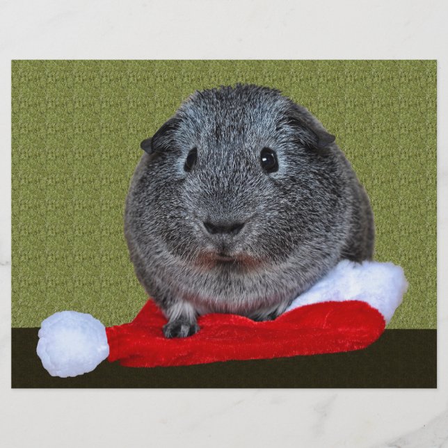 Guinea Pig Christmas (Devant)