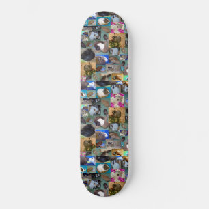 Guinée Pig Photo Collage, skateboard