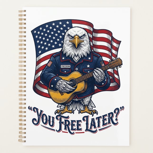 Guitare Vintage Eagle Patriotique (Devant)