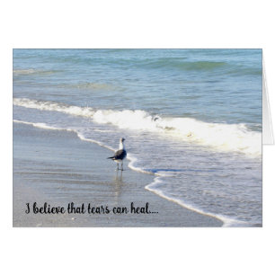 Gull dans le Surf "croire"