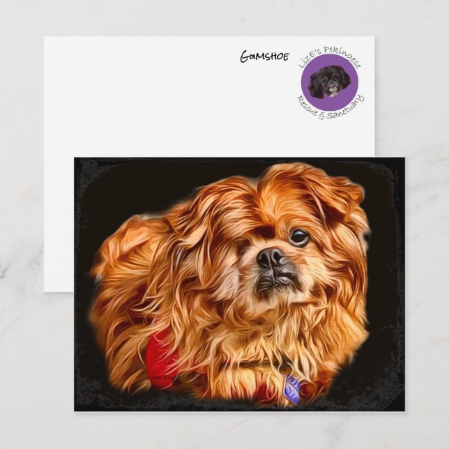 Gumshoe ! Art Extrodinal pour les cartes de tous l (Devant / Derrière)