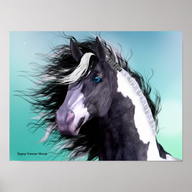 Gypsy Vanner Horse 16 x 12 Poster (Devant)