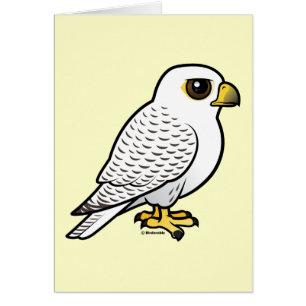 Gyrfalcon