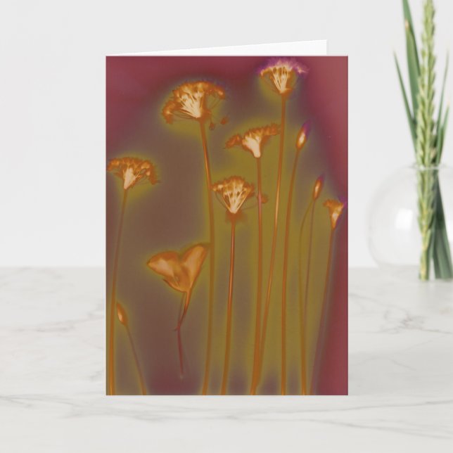 H.A.S. Carte de voeux d'arts, détail de lac (Devant)