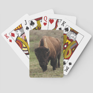 H.A.S. Cartes de jeu de bison d'arts