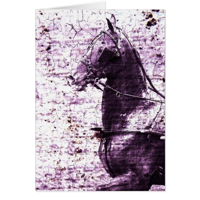 Hackey Crackle Digital Art (Devant)