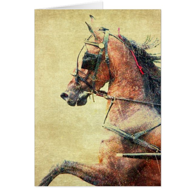 Hackney Pony (Devant)