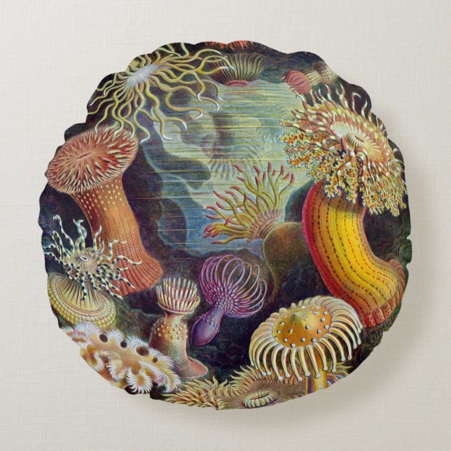 Haeckel ~ Coussins d'anémones de mer (Devant)