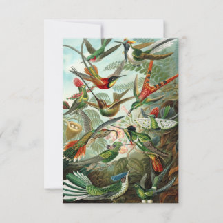 Haeckel Hummingbirds carte de voeux tout-temps