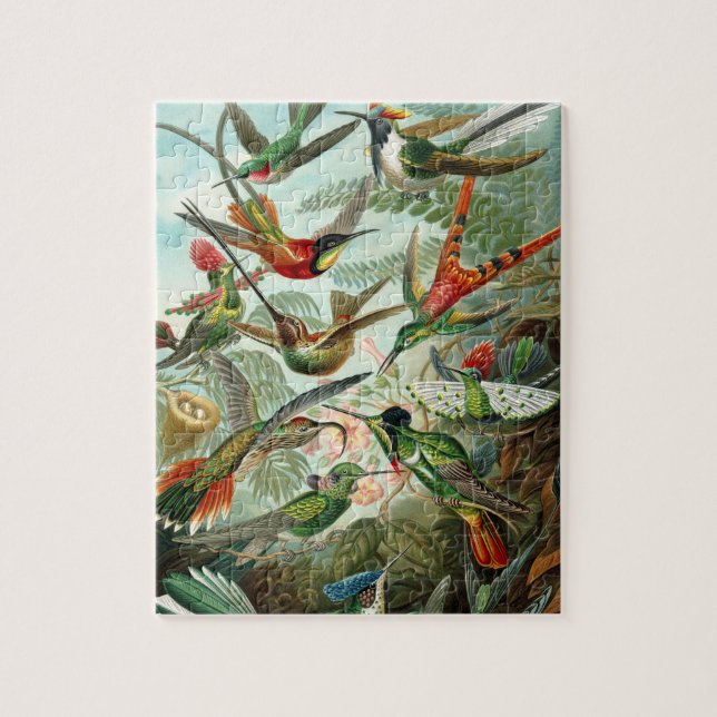 Haeckel's Hummingbirds Jigsaw Puzzle (Vertical)