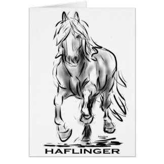 Haflinger