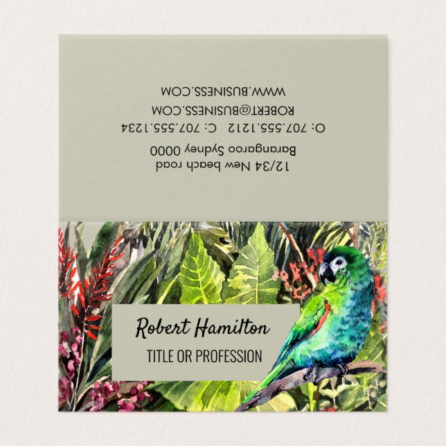 Hahn´s Macaw perroquet aquarelle peinture (Outside Unfolded)