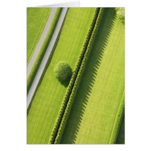 Haie dans le Hamptons