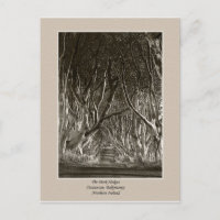 Haies foncées, Stranocum, Ballymoney NI carte post