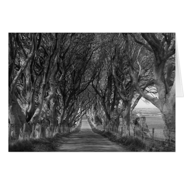 Haies sombres en noir et blanc (Devant Horizontal)