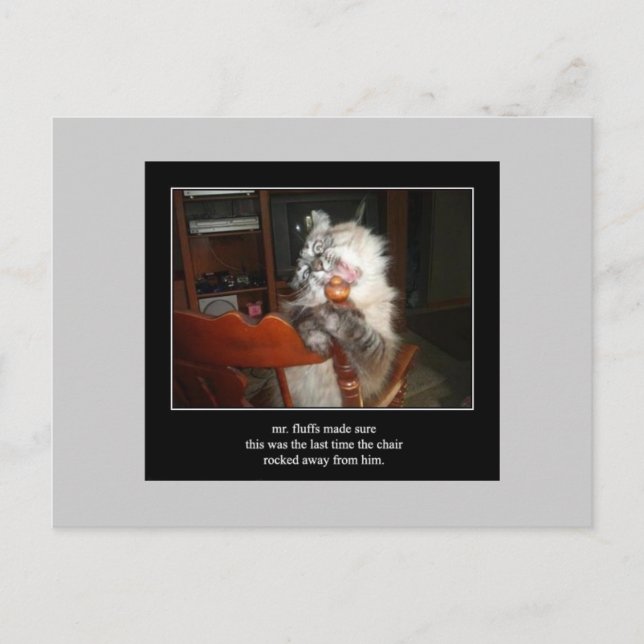 haiku cat 15 carte postale (Devant)