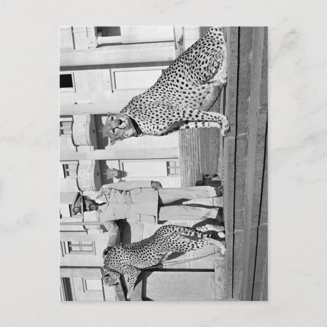 Haile Selassie - HIM - Rastafari - Carte postale (Devant)