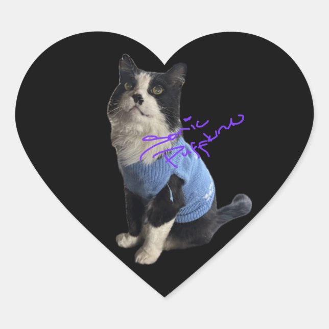 Hakuzi Heart Stickers (Devant)