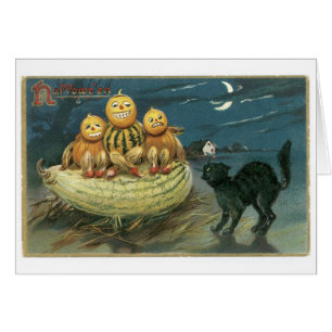 Halloween à l'ancienne, Citrouille et chat noir