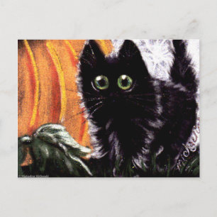 Halloween Chat Noir Qui Dat Scaredy Chat Carte Pos