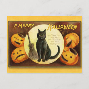 Halloween Chat Vintage et carte postale Citrouille
