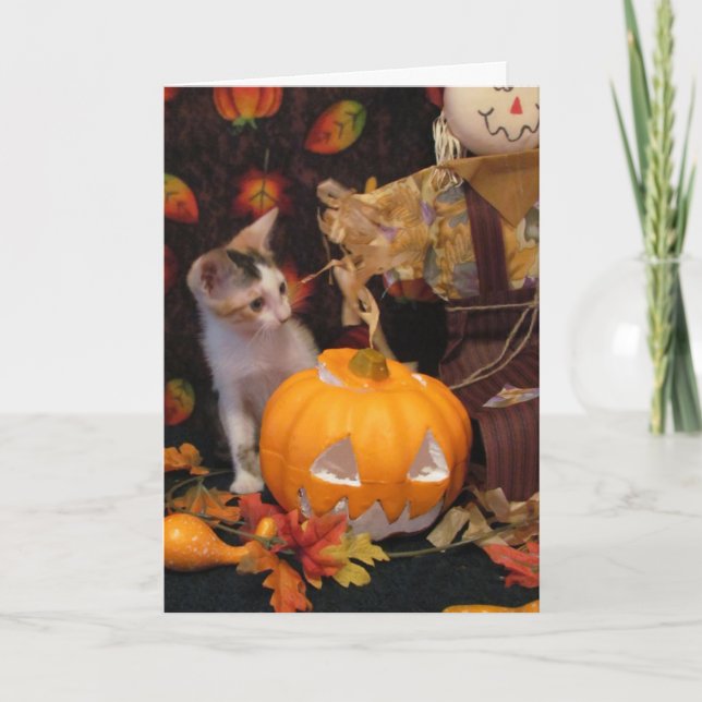 Halloween d'automne - Chat / Kitten Carte Hallowee (Devant)