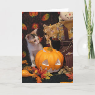 Halloween d'automne - Chat / Kitten Carte Hallowee