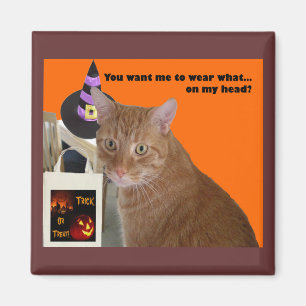 Halloween Kitty - Portez quel aimant