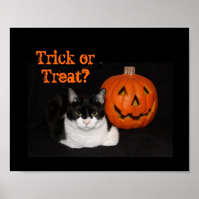 Halloween Kitty Poster (Devant)