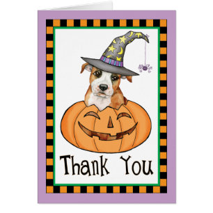 Halloween Staffordshire Bull Terrier Merci