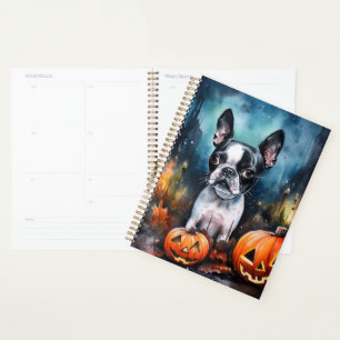 Halloween Terrier de Boston avec citrouilles effra