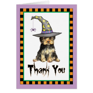 Halloween Yorkie